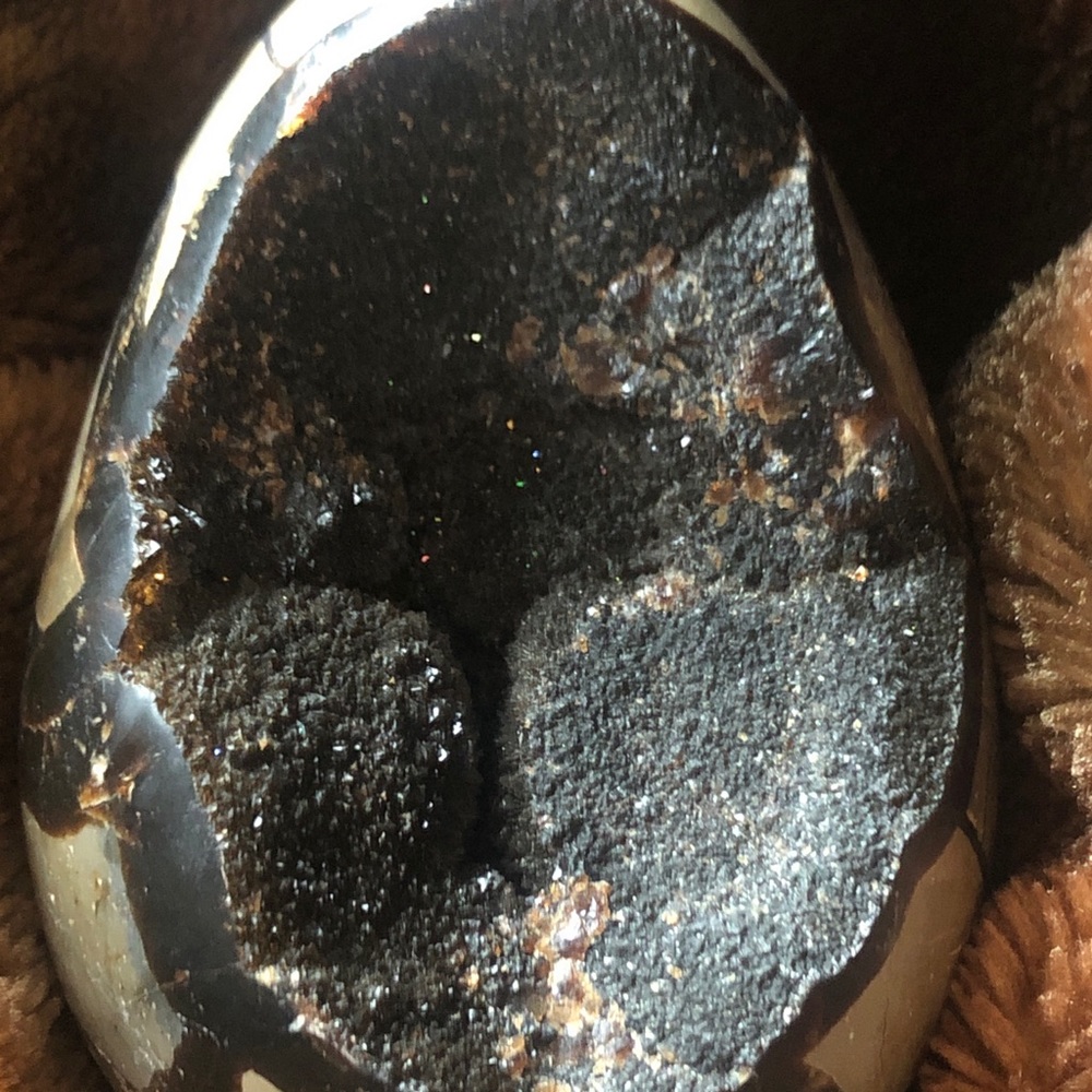 Dragon egg geode! 10 inches!